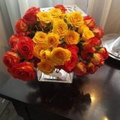 Marnie Smith's photo