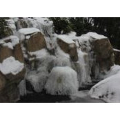 Terri Verburg's photo