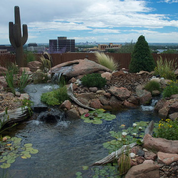 Statuary Coupled with Water Features