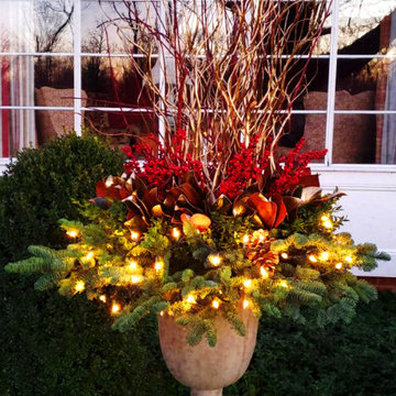 Graceful and Glowing Holiday Containers