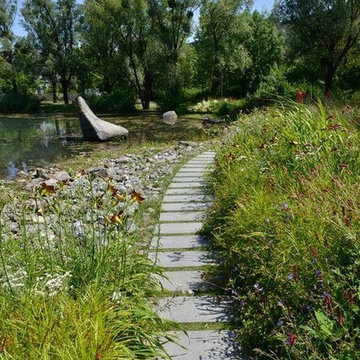 Projects and ideas for 2017 Landscape season