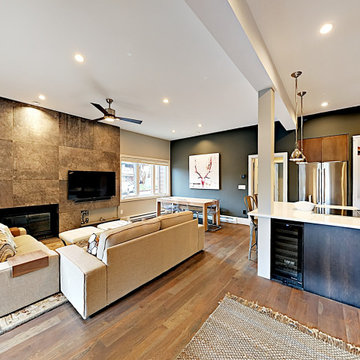 Mountain Modern Condominium