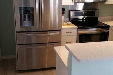 Kitchen - transitional kitchen idea in Miami