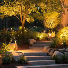 Backyard Reno
