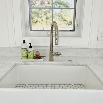 Farm sink + Single handle pull down faucet
