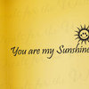 Wall Decal Sticker Quote Vinyl Art Letter You Are My Sunshine Baby's Nursery K40