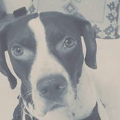 Betsy Gideon's photo