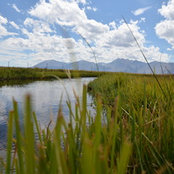 Kristen Eaton's photo
