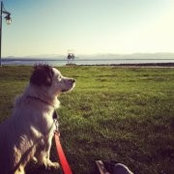 Evan Timrud's photo