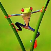 Cynthia Lowe's photo