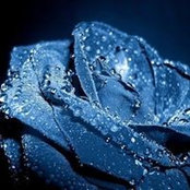 Ирина Джулай's photo