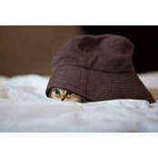 Giang Dinh's photo