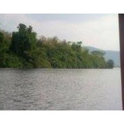 Gloria Tetteh's photo
