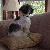 Rachelle Whitrow's photo