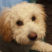 Kristen Nardozzi-Cottrell's photo