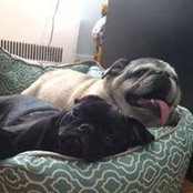 Jessie Touart's photo