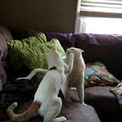 Rita Savage's photo