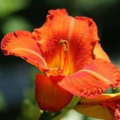Jackie Barth's photo