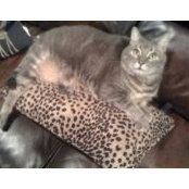 Mary Ann Keefe's photo