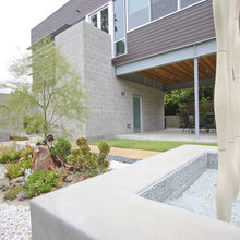 Backyard Roof / Siding