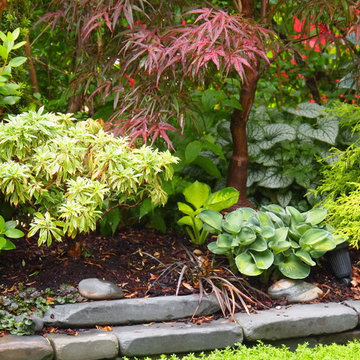 The Japanese Maple Garden