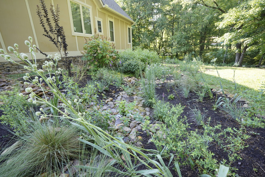 French Broad Rain Garden
