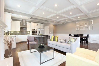 Inspiration for a large contemporary open concept medium tone wood floor living room remodel in Chicago with gray walls, a standard fireplace, a plaster fireplace and a wall-mounted tv