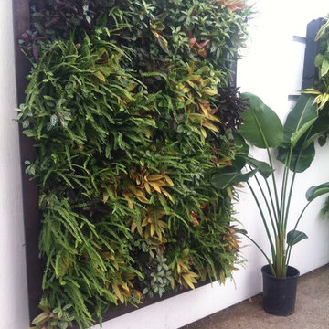Living Walls