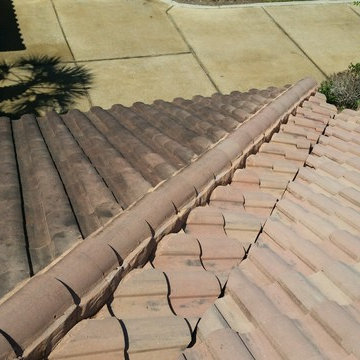 Roof Cleaning