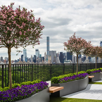 Town and Gardens - Central Park West