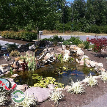KOI Pond, Backyard Pond & Small Pond Ideas for your Kentucky Landscape