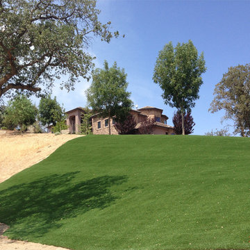 Global Syn-Turf artificial grass in Thousand Oaks, CA
