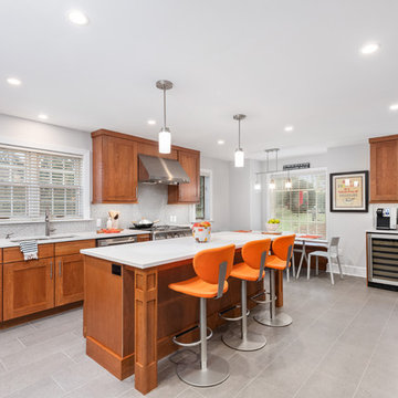 Kitchen, Mudroom and Bathroom Remodel in Villanova