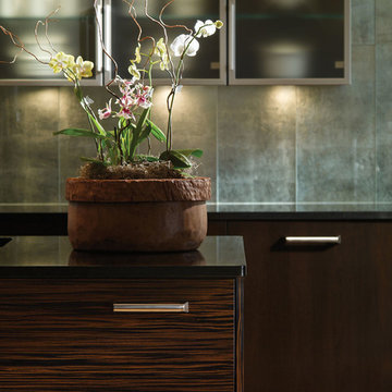 Connoisseur Modern Kitchen