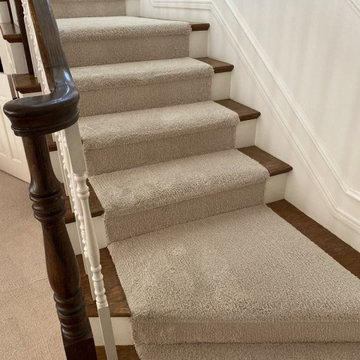 Carpet, Rug, and Upholstery Cleaning Services