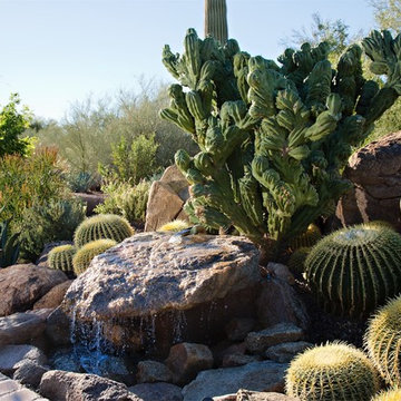Everyday Escape - Phoenix Home & Garden