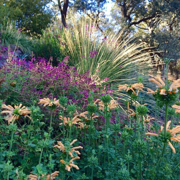 Sonoma County Garden