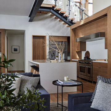 Modern Mountain Home