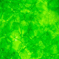 Low Impact Ltd's profile photo