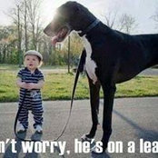 Bart Sorrell's photo
