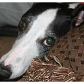 Barbara Barnes Morgan's photo