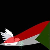 Foto von محمد عبدالله البدوي