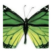 Kimberly Hersel's photo