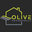 Olive Air and Heating LLC