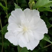 Jeanne Beam's photo