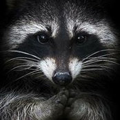 Richard Crainium's photo