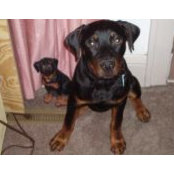 Michelle McCaughtry's photo