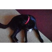 Debbie Phillips Coolidge's photo