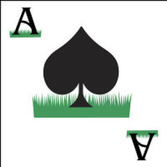Ace of Blades LLC