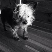 Lauren Rigney's photo